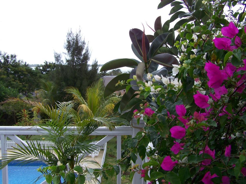 Bed And Breakfast Maison Papaye La Gaulette Exterior foto